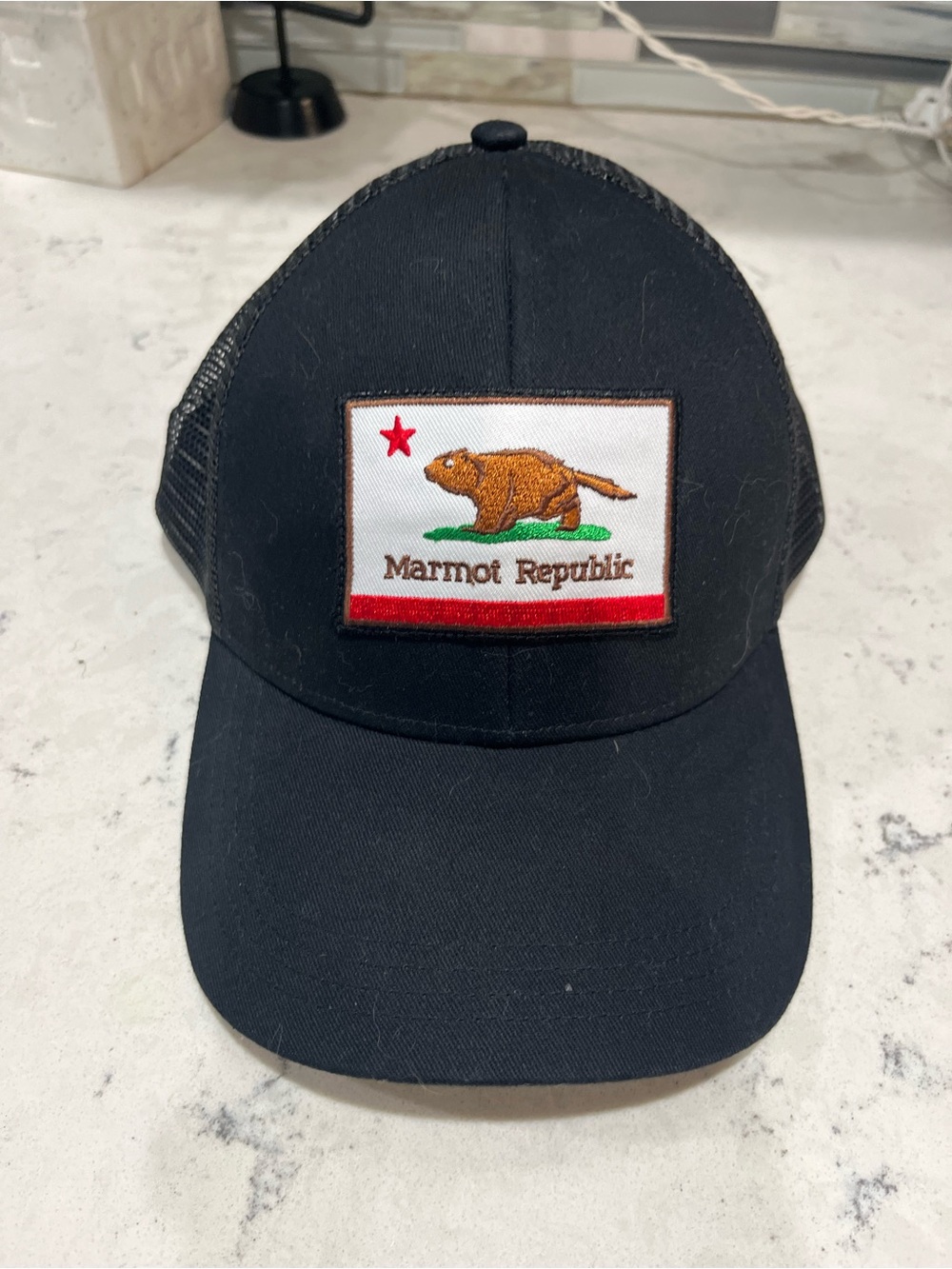 Black Marmot Republic Cap